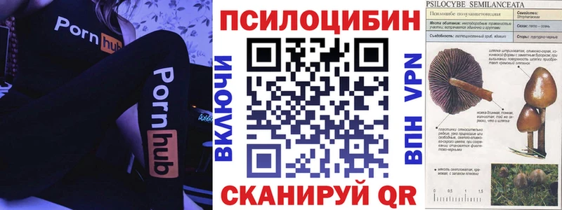 Псилоцибиновые грибы прущие грибы  Майский 