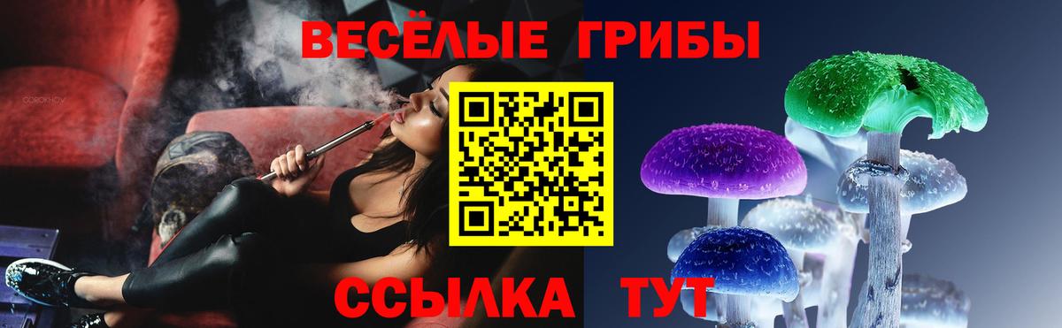 Псилоцибиновые грибы Psilocybine cubensis Майский